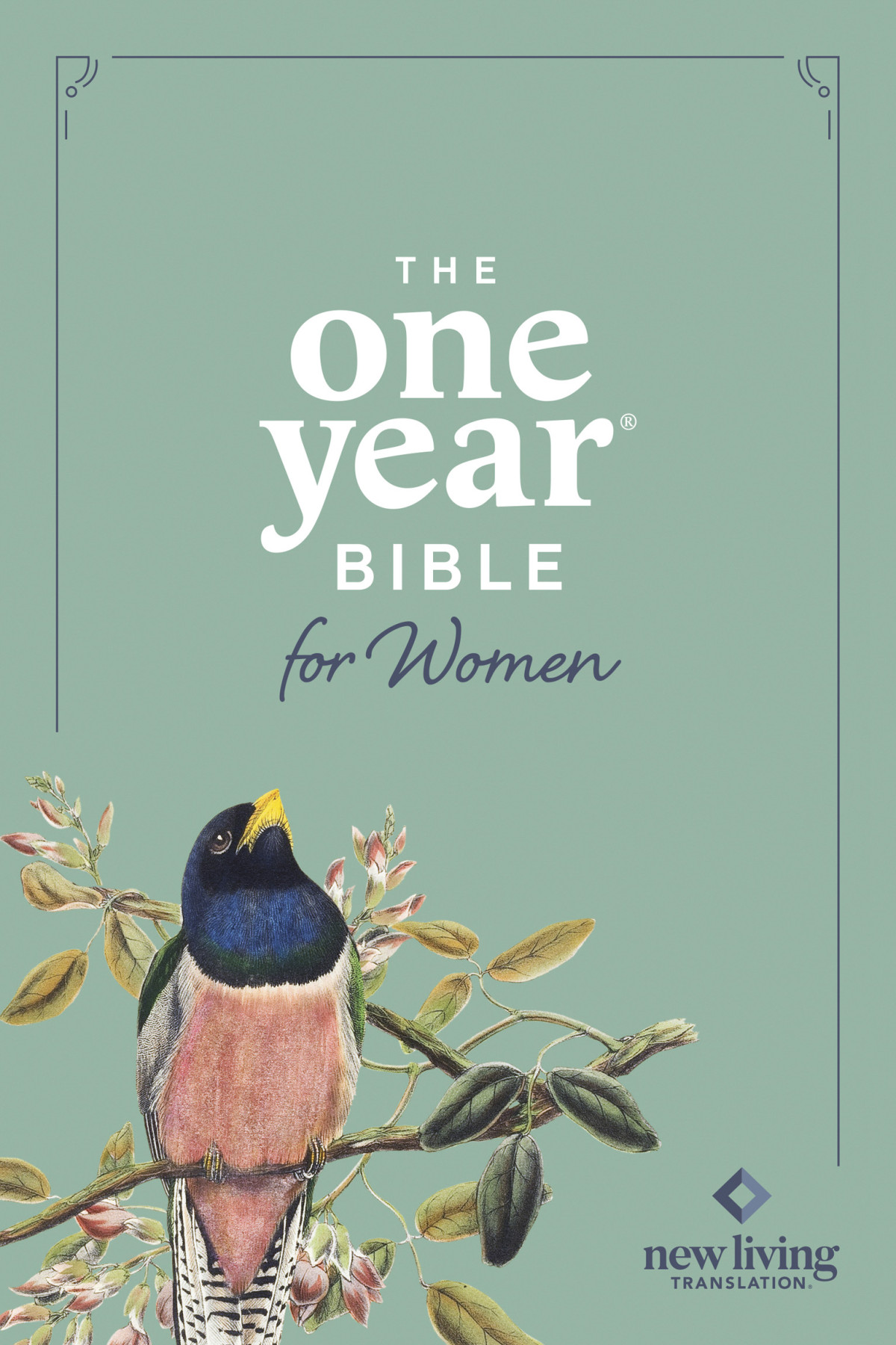 Nlt The One Year Bible For Women Unknown