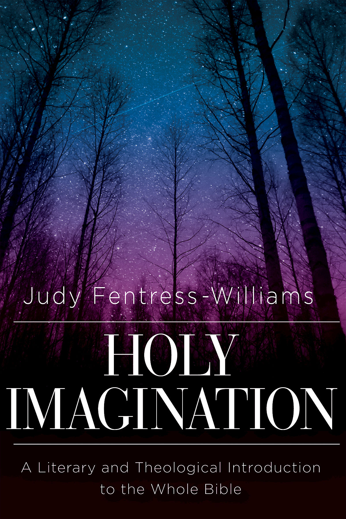 Holy Imagination A Literary And Theological Introduction To The Whole Bible Fentresswilliams