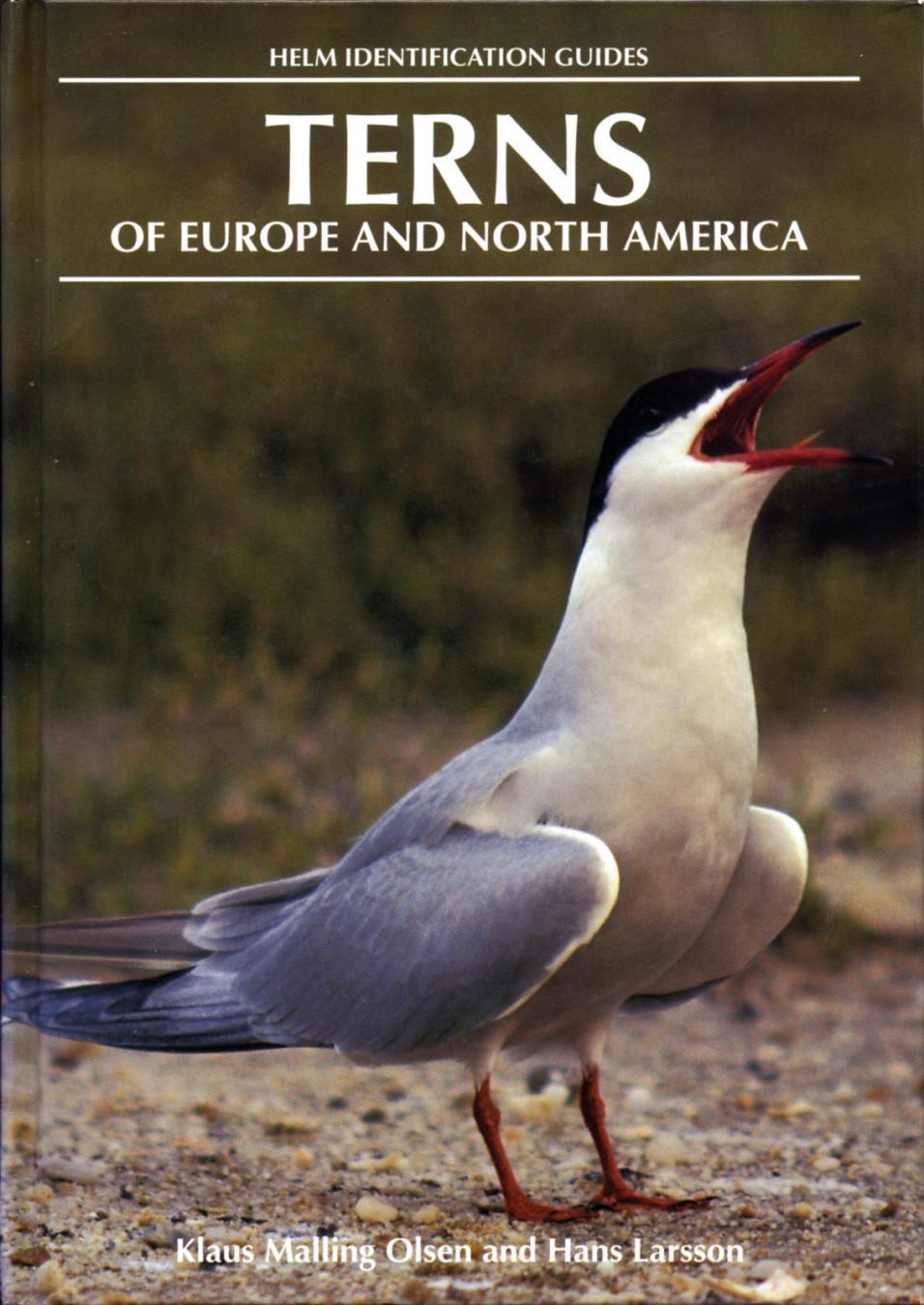 Terns Of Europe And North America Hans Larsson Klaus Malling Olsen