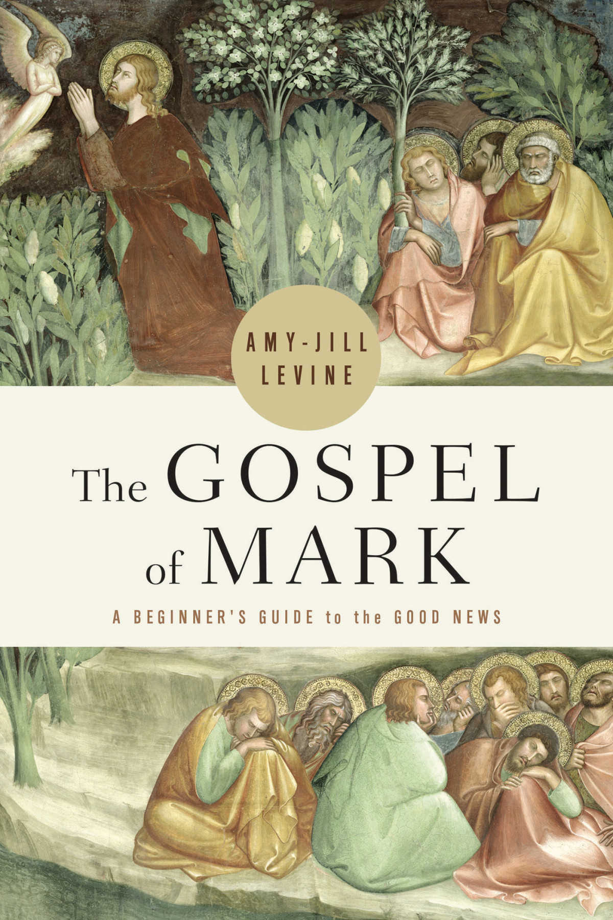 The Gospel Of Mark A Beginners Guide To The Good News Levine