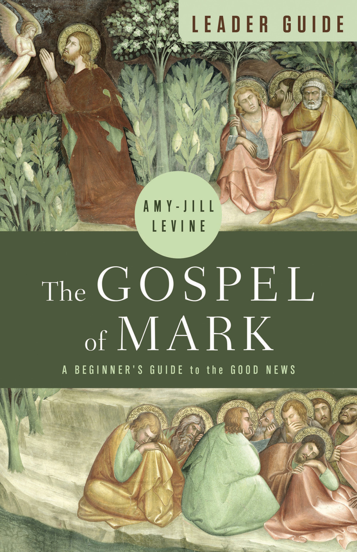 The Gospel Of Mark Leader Guide A Beginners Guide To The Good News Levine