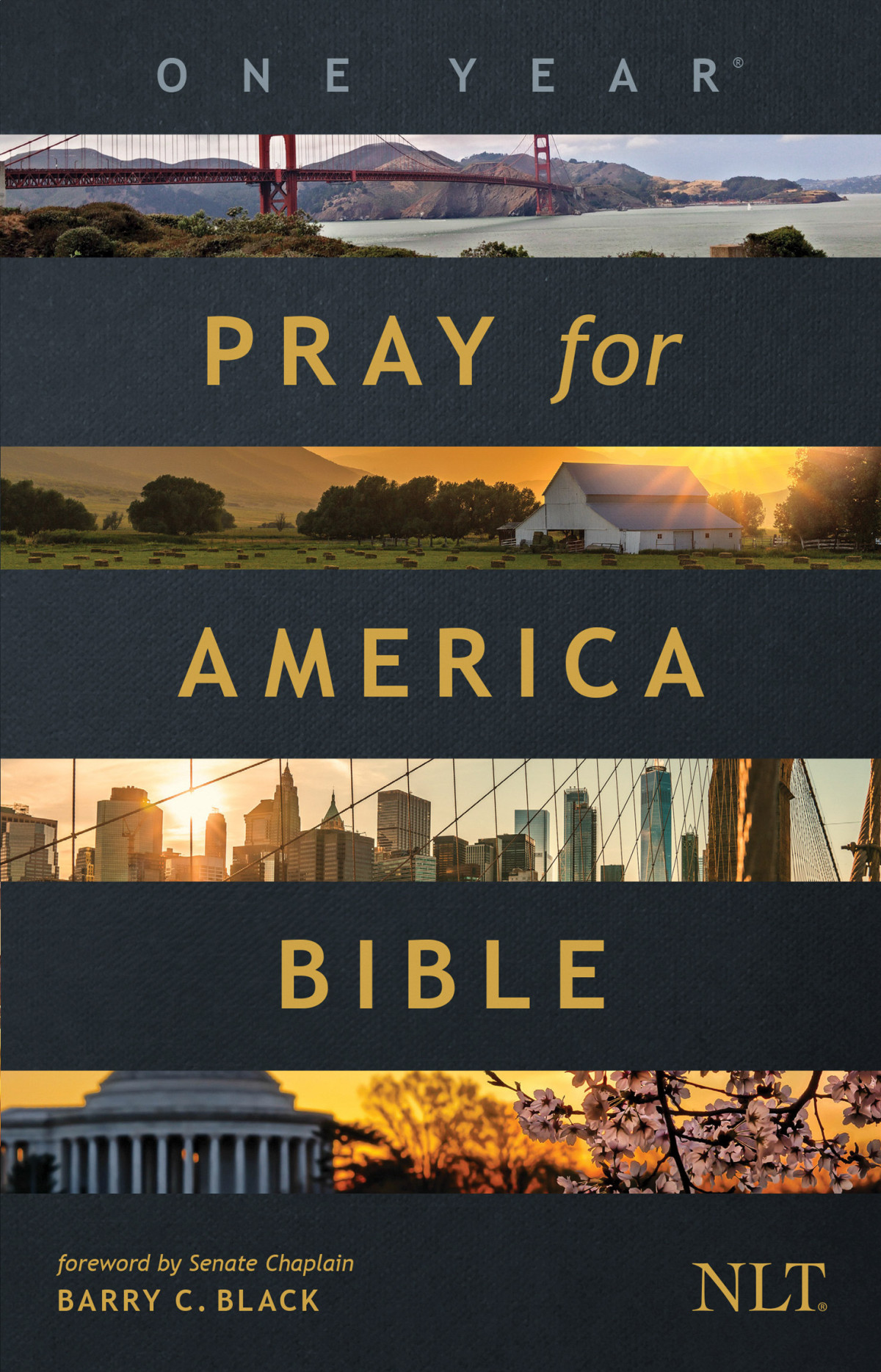 The One Year Pray For America Bible Nlt Tyndale