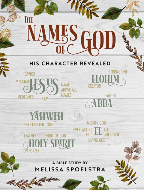 The Names Of God Womens Bible Study Participant Workbook His Character Revealed Spoelstra