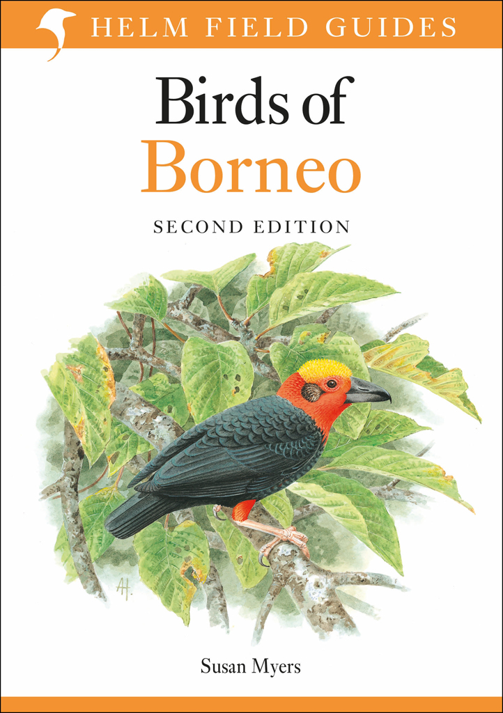 Birds Of Borneo Susan Myers