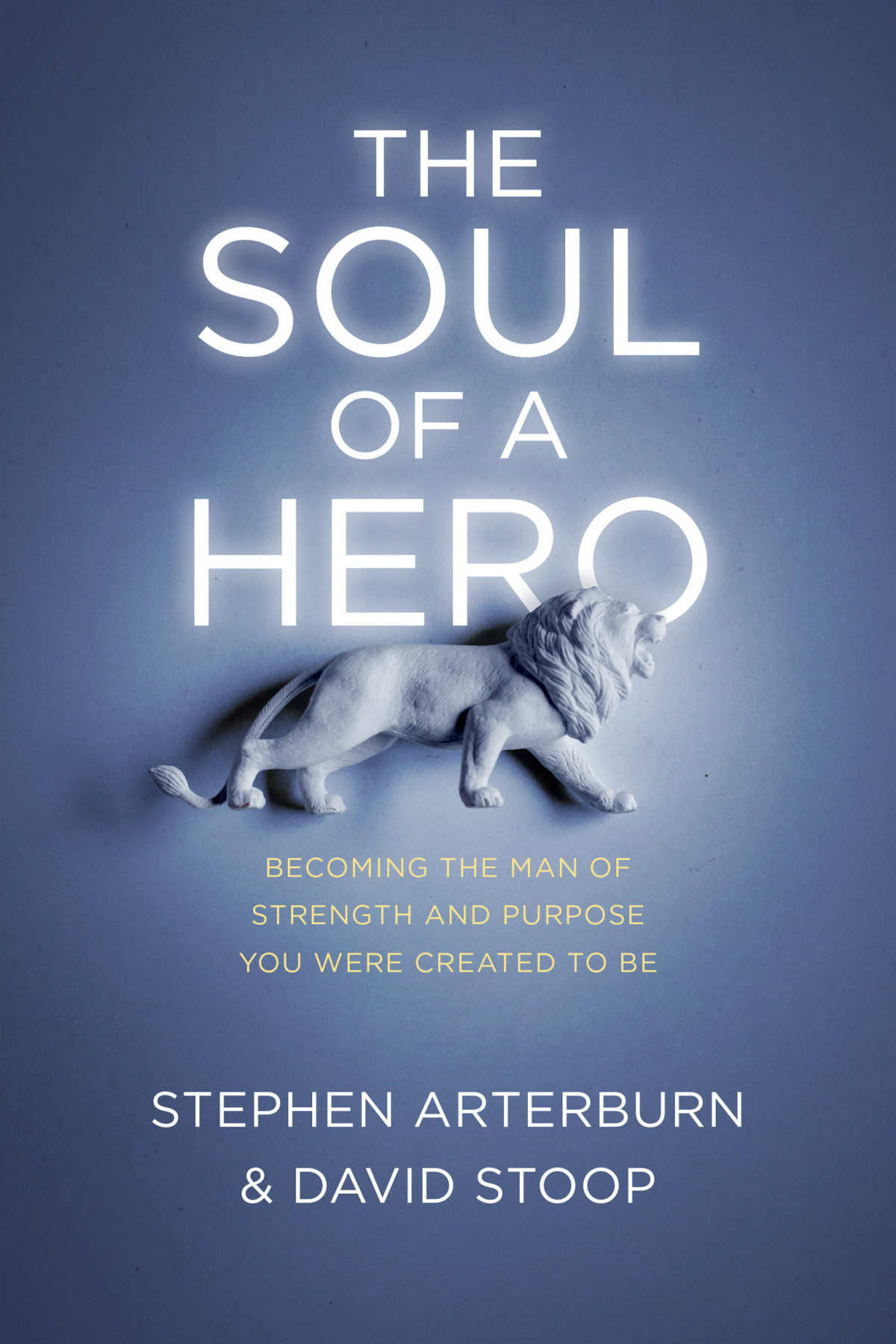 The Soul Of A Hero Stephen Arterburndavid Stoop David Stoop