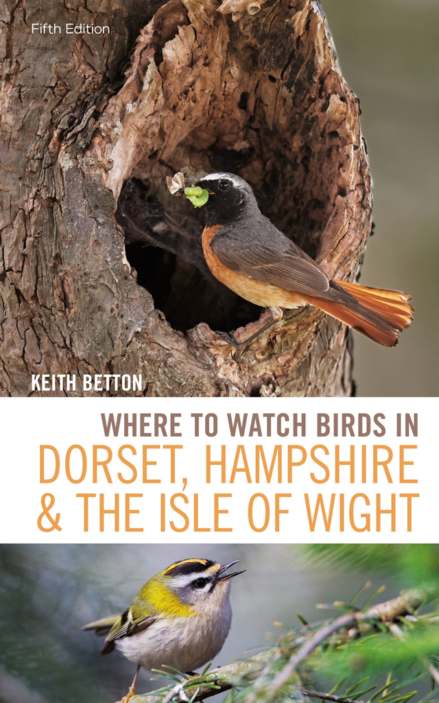 Where To Watch Birds In Dorset Hampshire And The Isle Of Wight Keith Betton