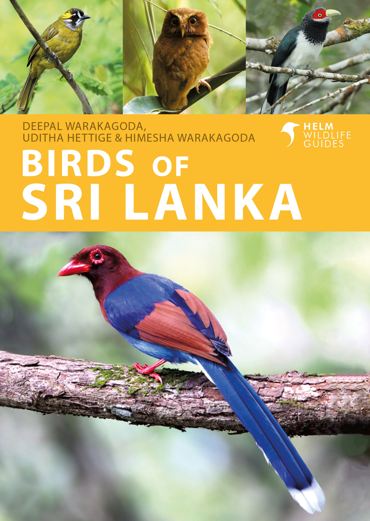 Birds Of Sri Lanka Deepal Warakagodauditha Hettigehimesha Warakagoda