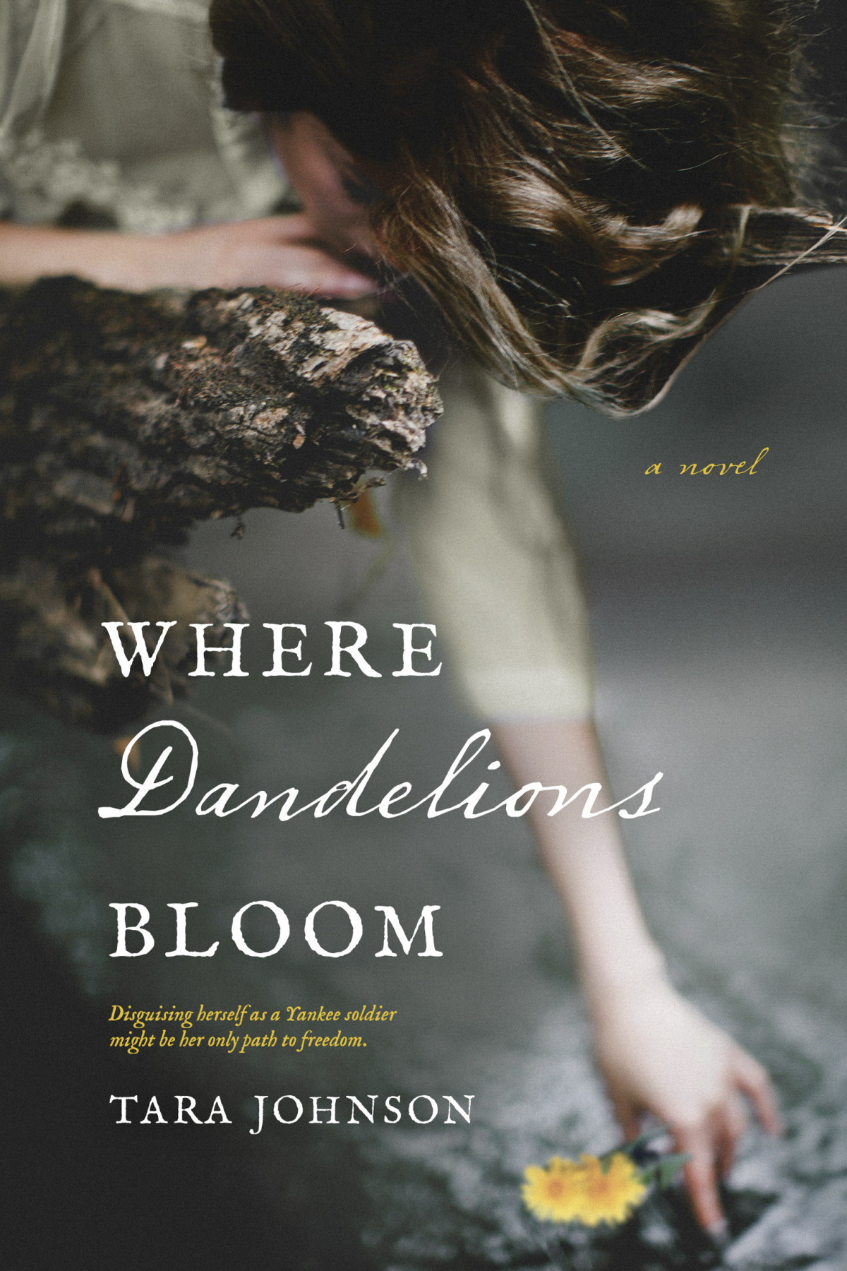 Where Dandelions Bloom Tara Johnson