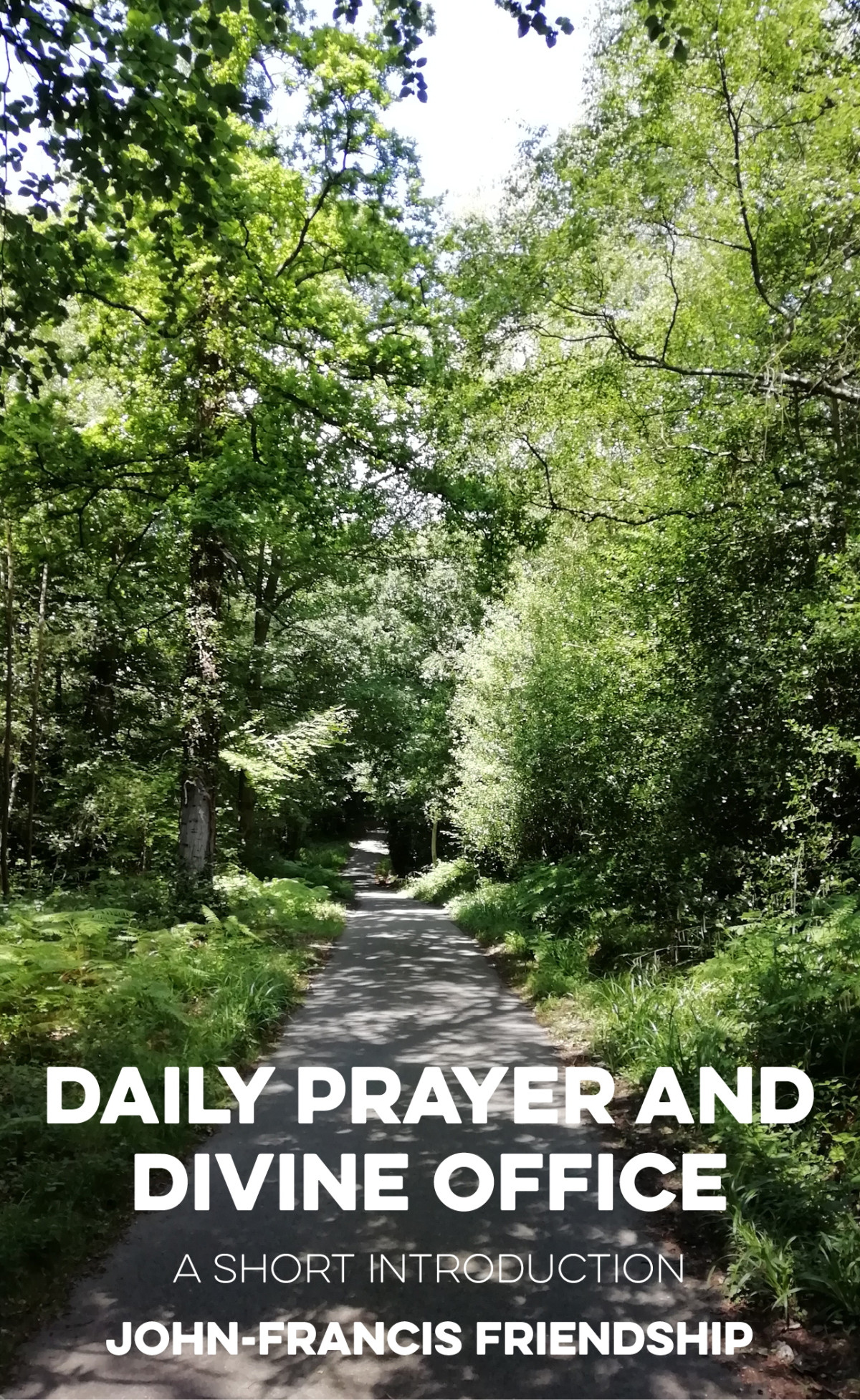 Daily Prayer And Divine Office Johnfrancis Friendship