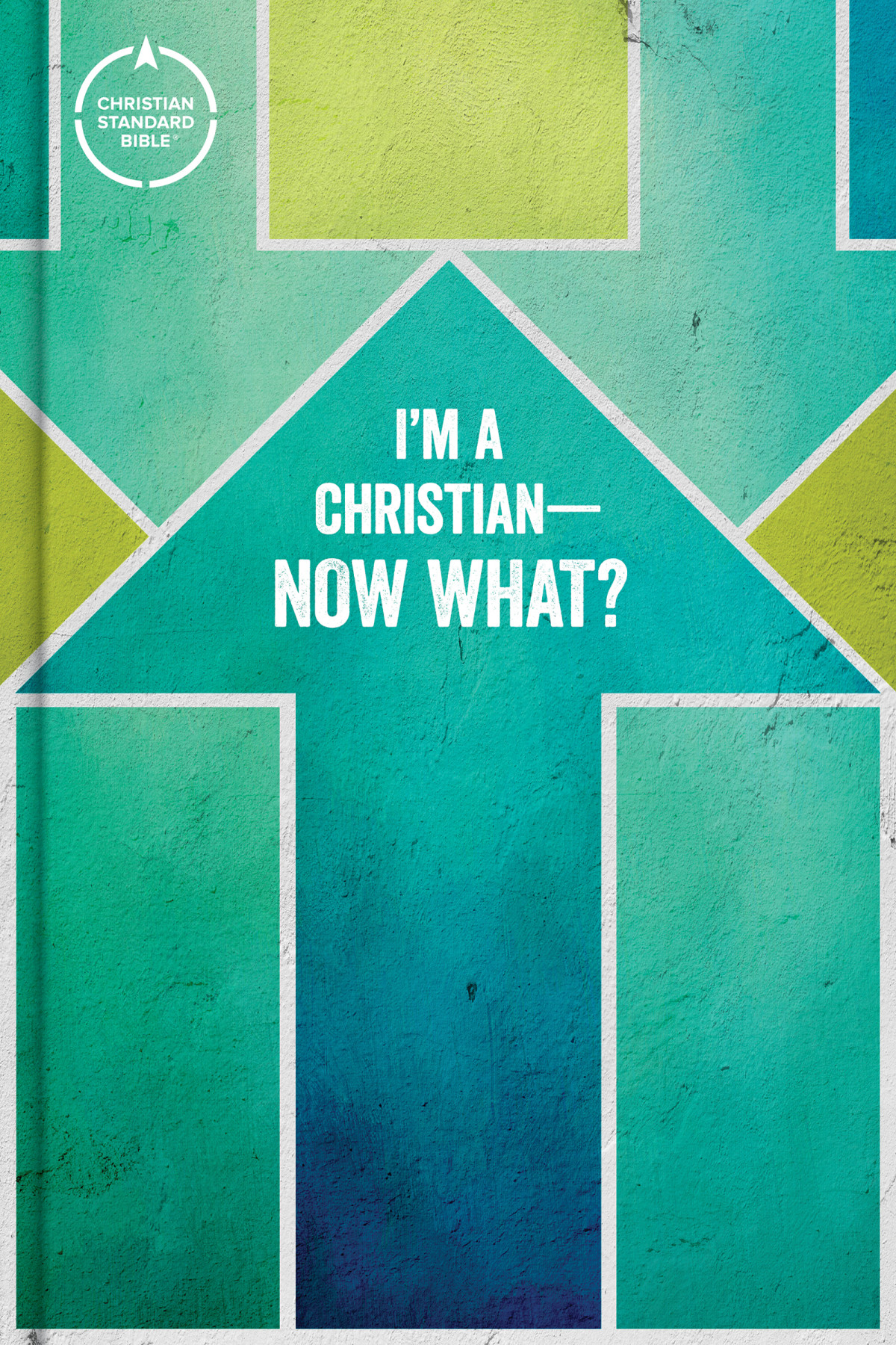 Csb Im A Christiannow What Bible For Kids Epub Csb Bibles By Holman