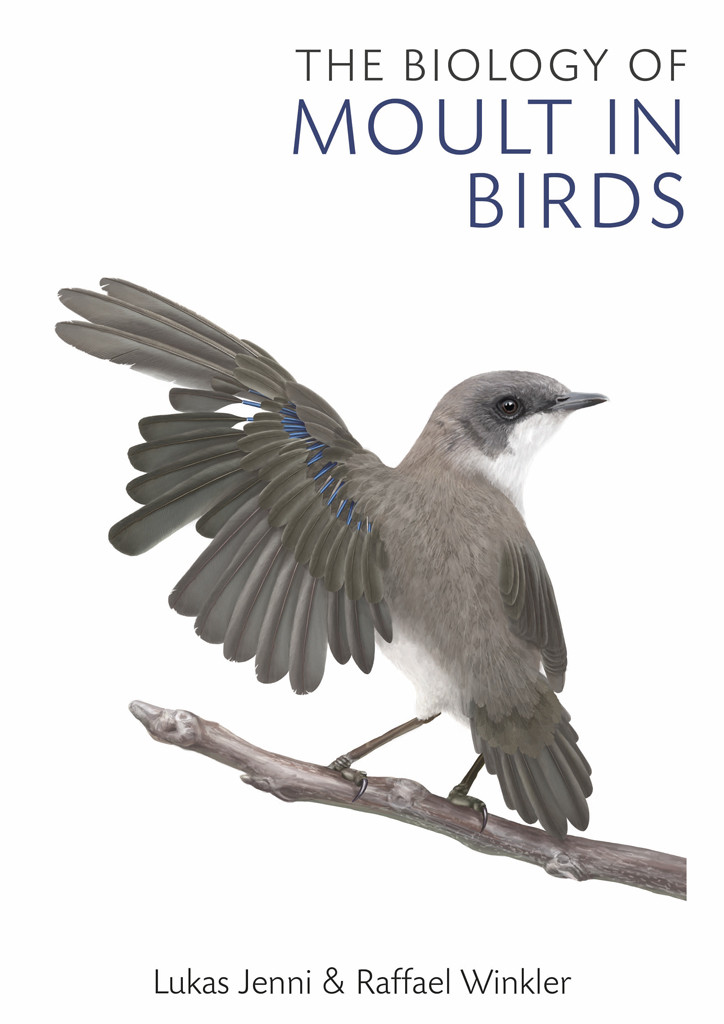The Biology Of Moult In Birds Lukas Jenniraffael Winkler