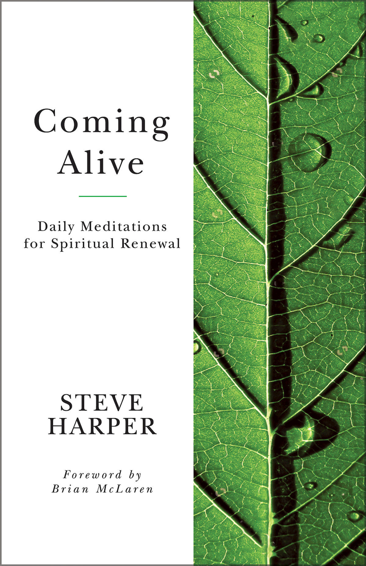 Coming Alive Daily Meditations For Spiritual Renewal Harper