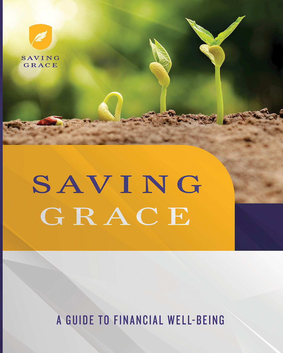 Saving Grace Participant Workbook A Guide To Financial Wellbeing Abingdon