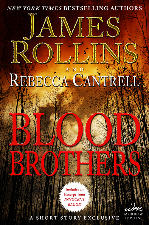 Blood Brothers James Rollins