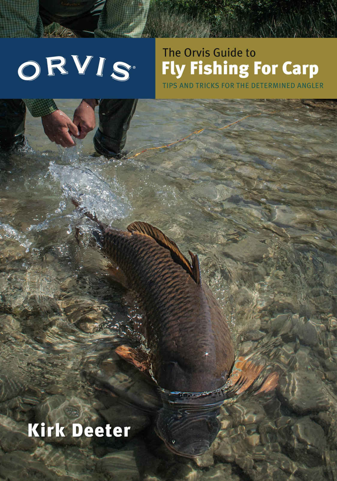 The Orvis Guide To Fly Fishing For Carp Tips And Tricks For The Determined Angler Kirk Deeter