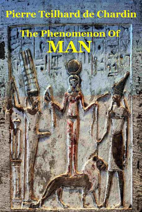 The Phenomenon Of Man Pierre Teilhard De Chardin