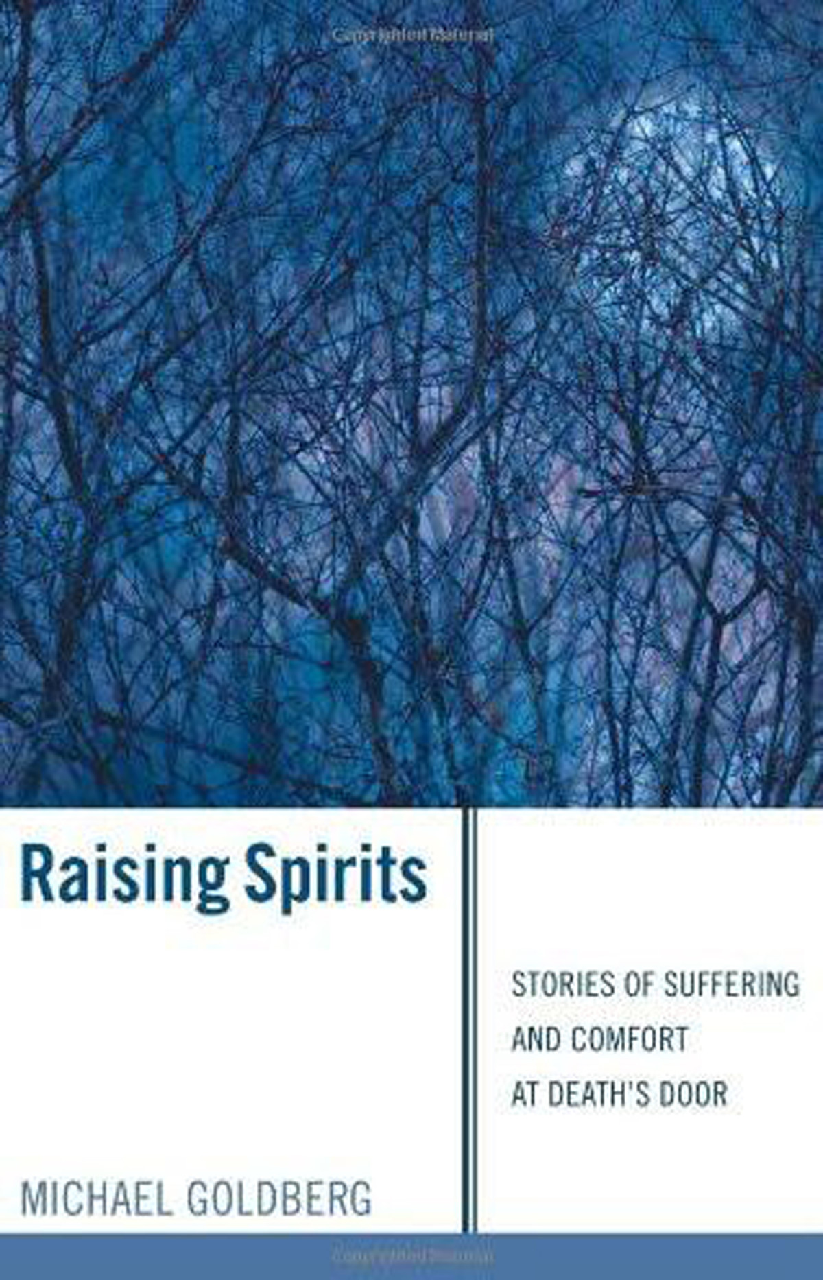 Raising Spirits Michael Goldberg