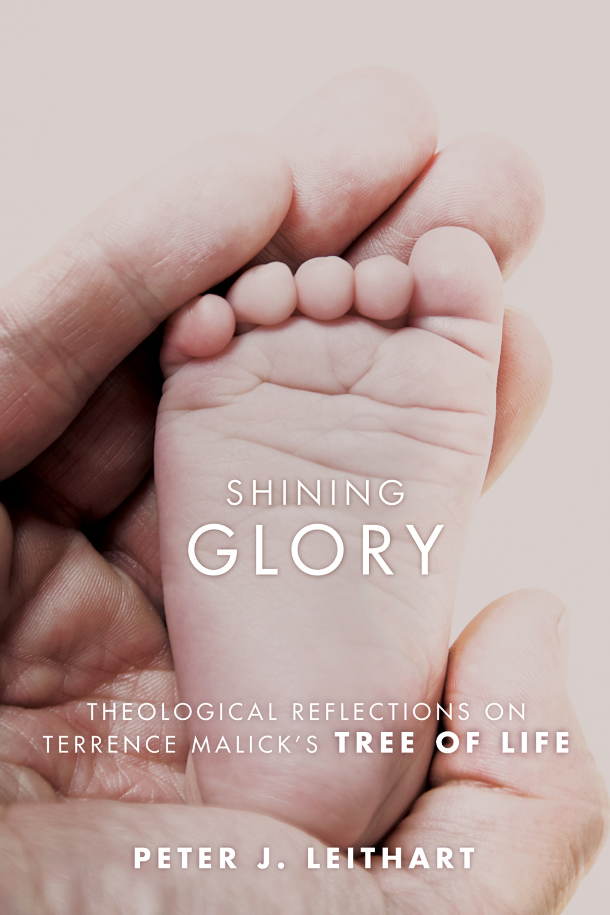 Shining Glory Peter J Leithart