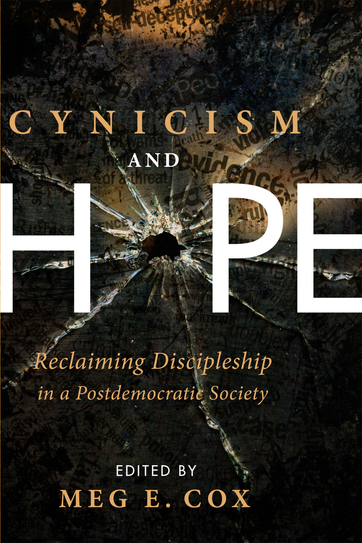 Cynicism And Hope Meg E Cox