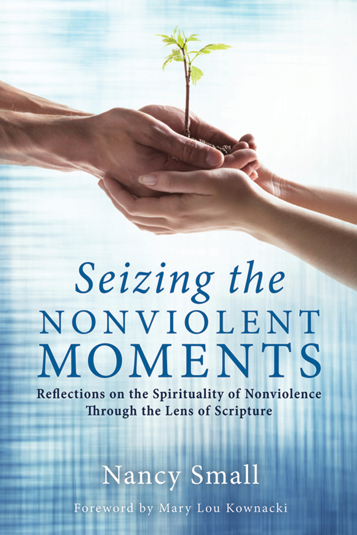 Seizing The Nonviolent Moments Nancy Small