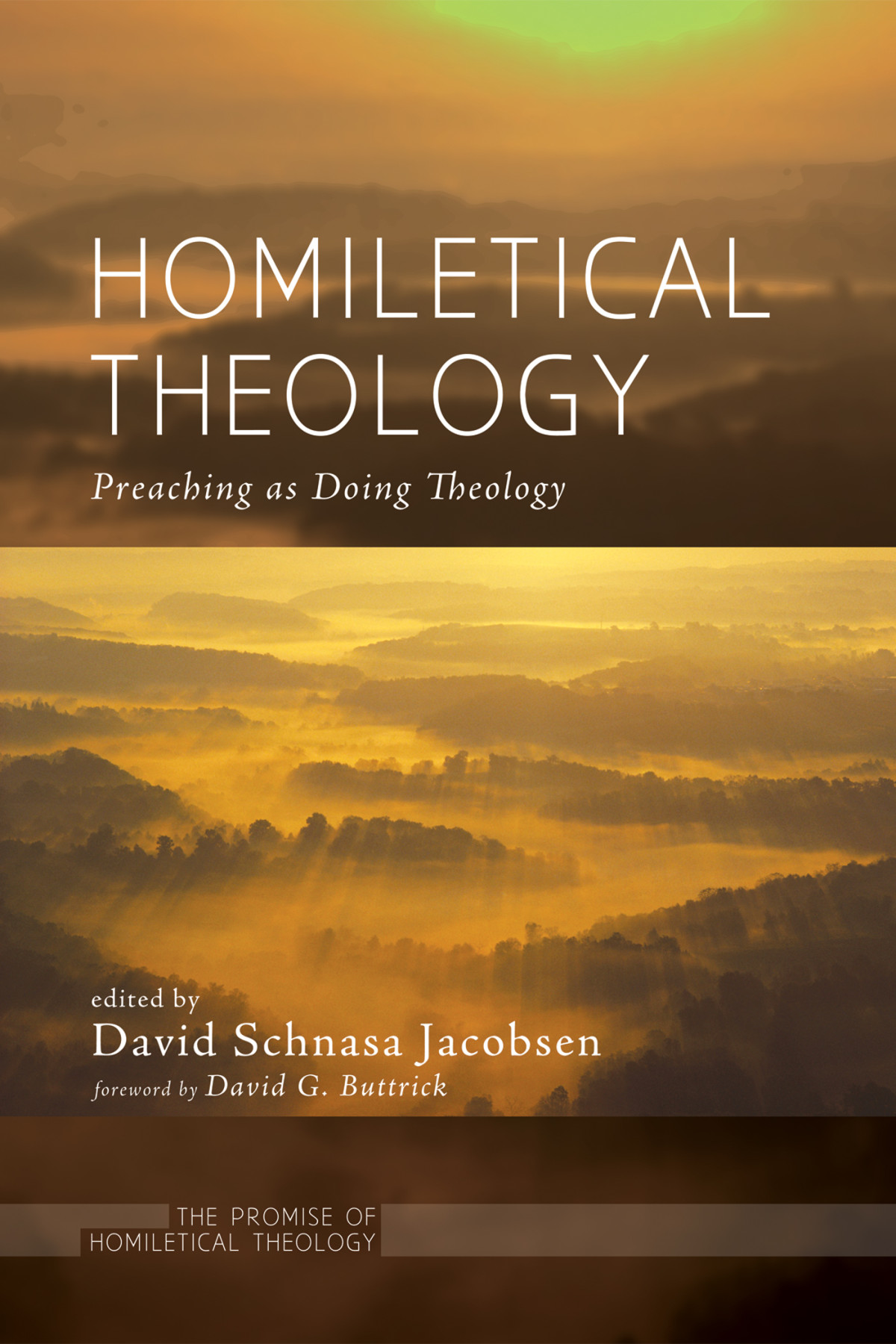 Homiletical Theology David Schnasa Jacobsen