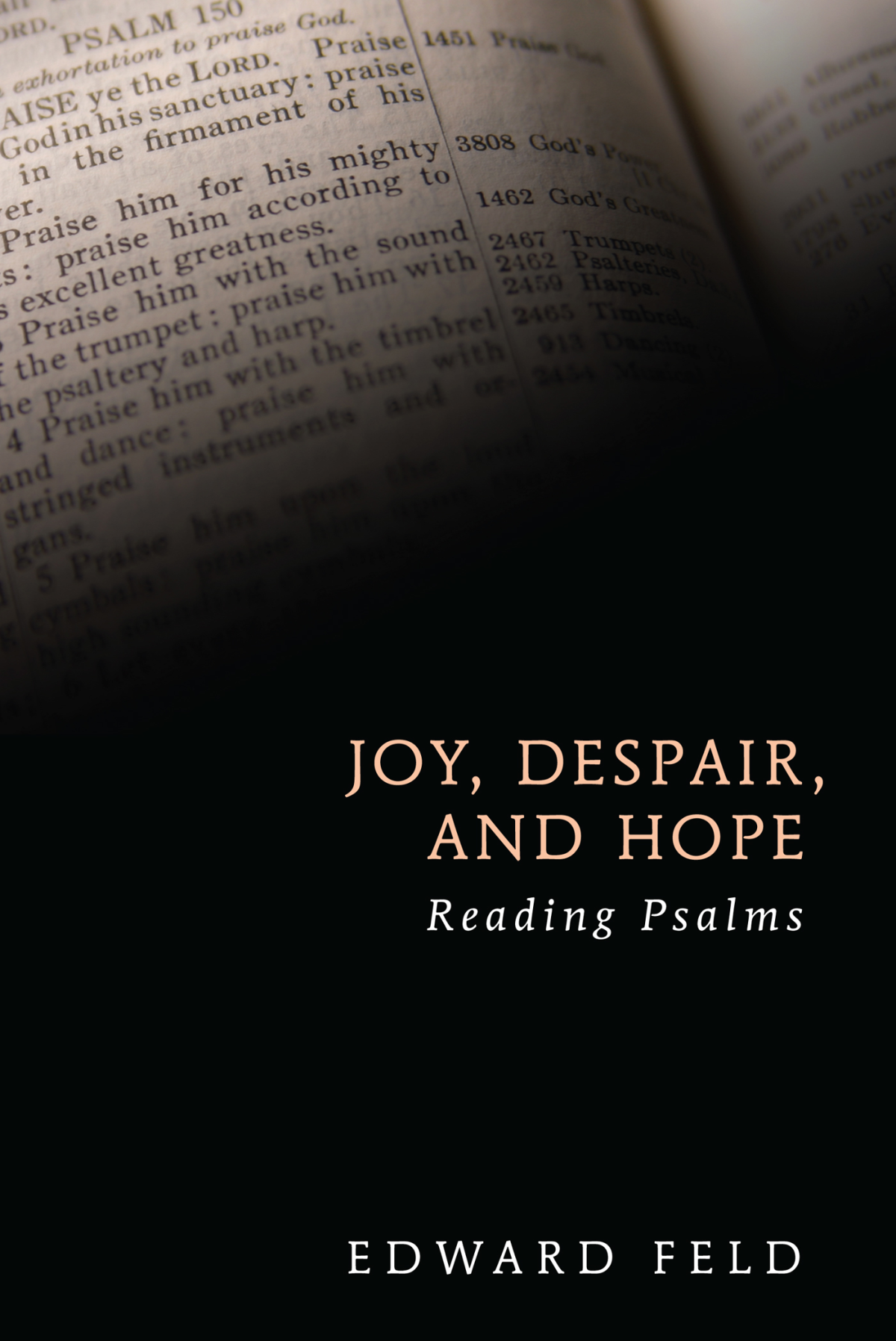 Joy Despair And Hope Edward Feld