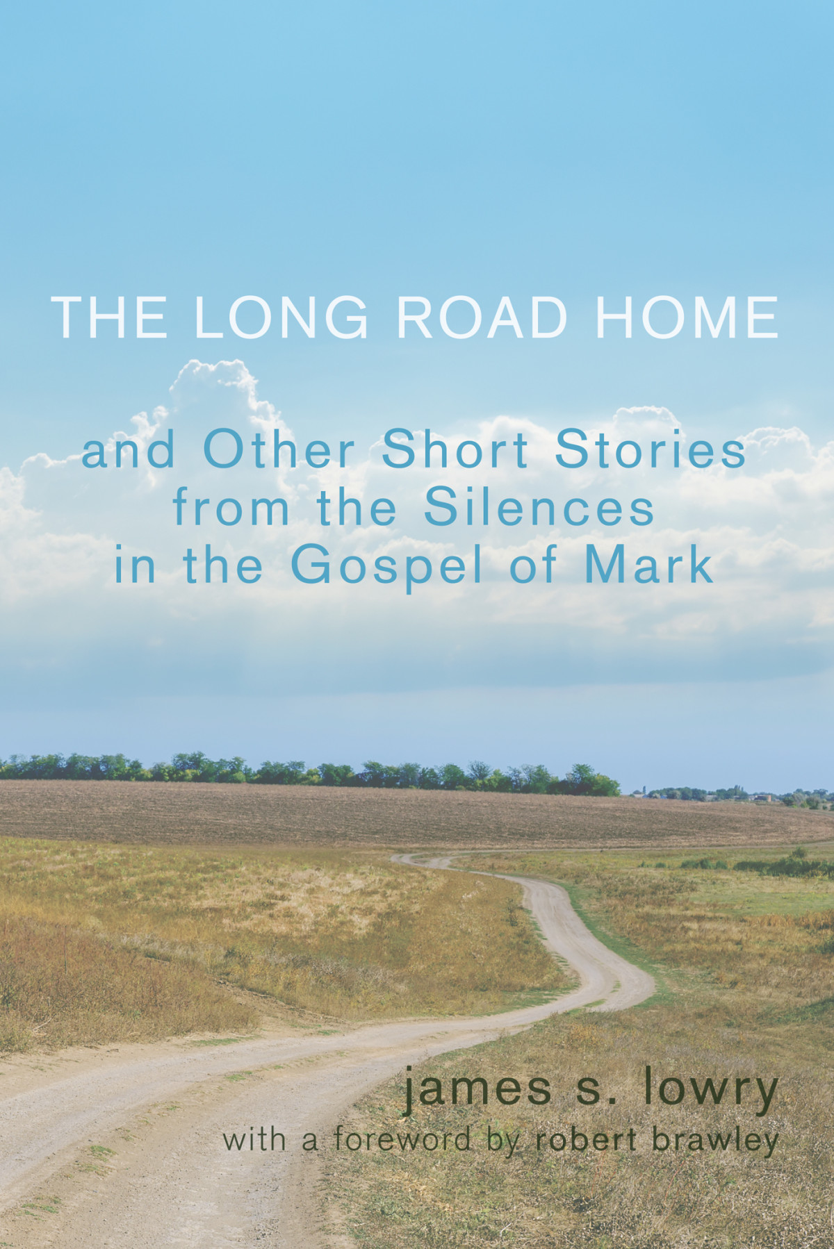The Long Road Home And Other Short Stories From The Silences In The Gospel Of Mark James S Lowry