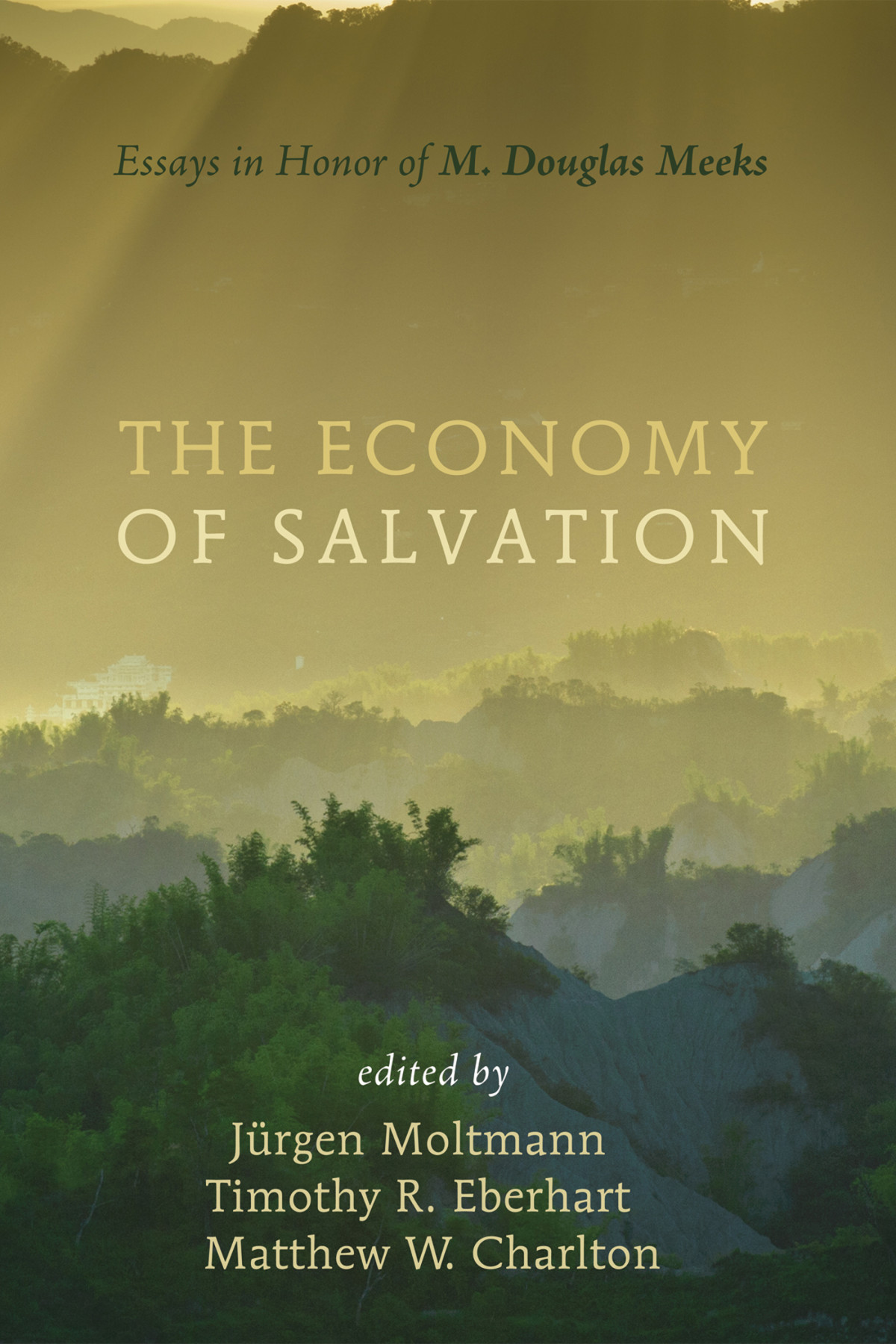 The Economy Of Salvation Jrgen Moltmanntimothy Reinhold Eberhartmatthew Charlton