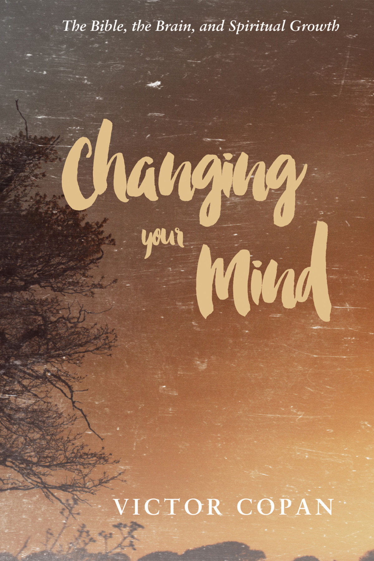 Changing Your Mind Victor A Copan