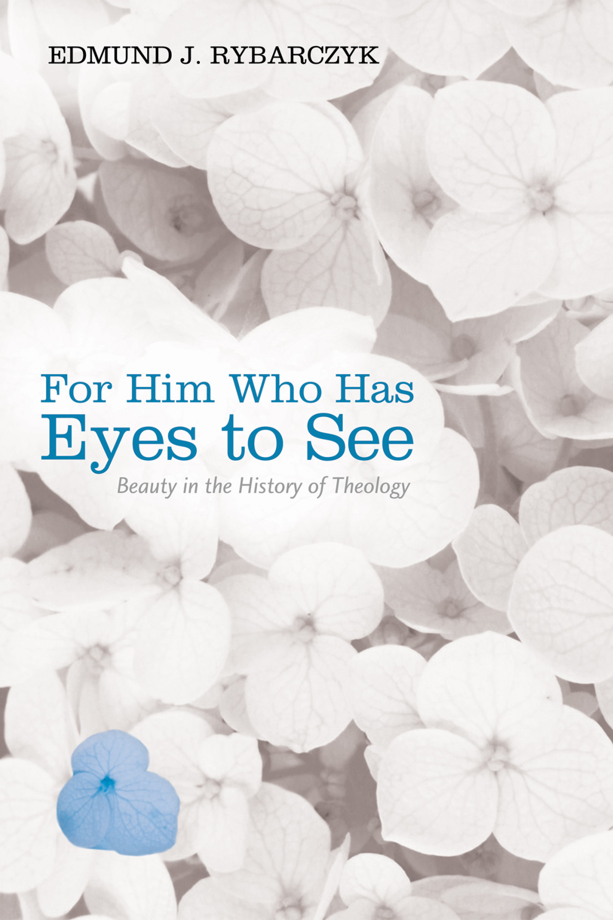 For Him Who Has Eyes To See Edmund J Rybarczyk