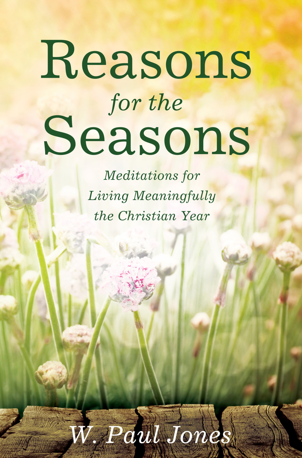 Reasons For The Seasons W Paul Jones