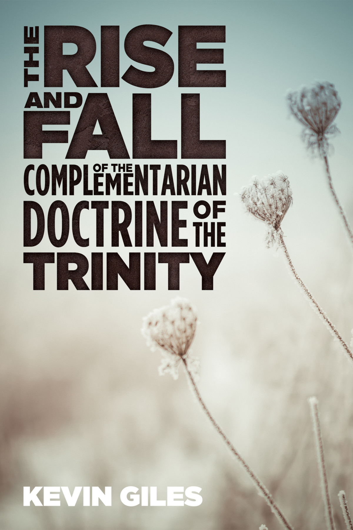 The Rise And Fall Of The Complementarian Doctrine Of The Trinity Kevin Giles