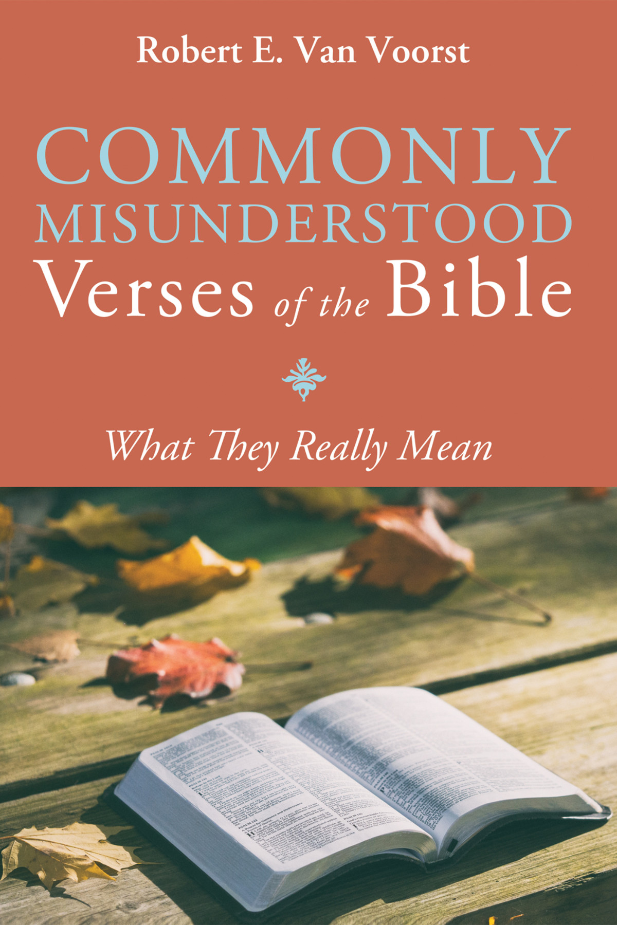 Commonly Misunderstood Verses Of The Bible Robert E Van Voorst