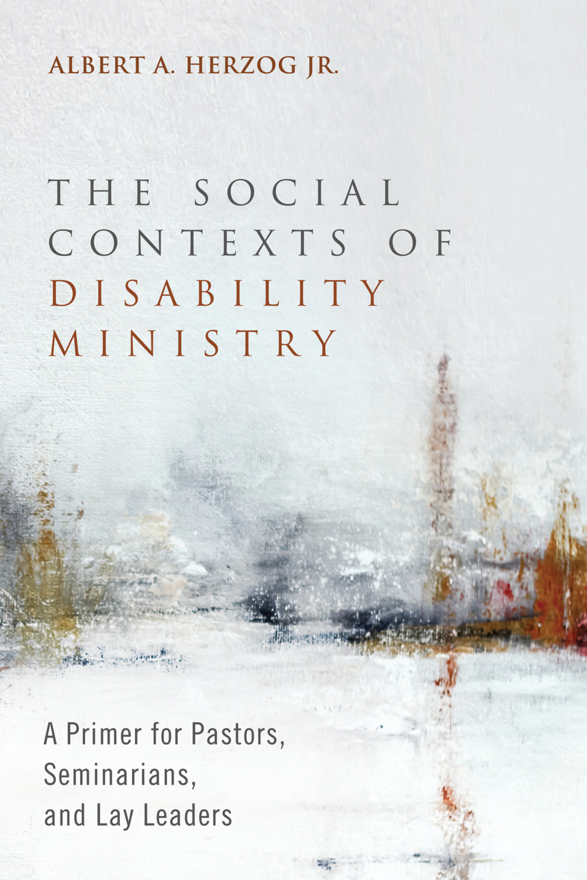 The Social Contexts Of Disability Ministry Albert A Herzog Jr