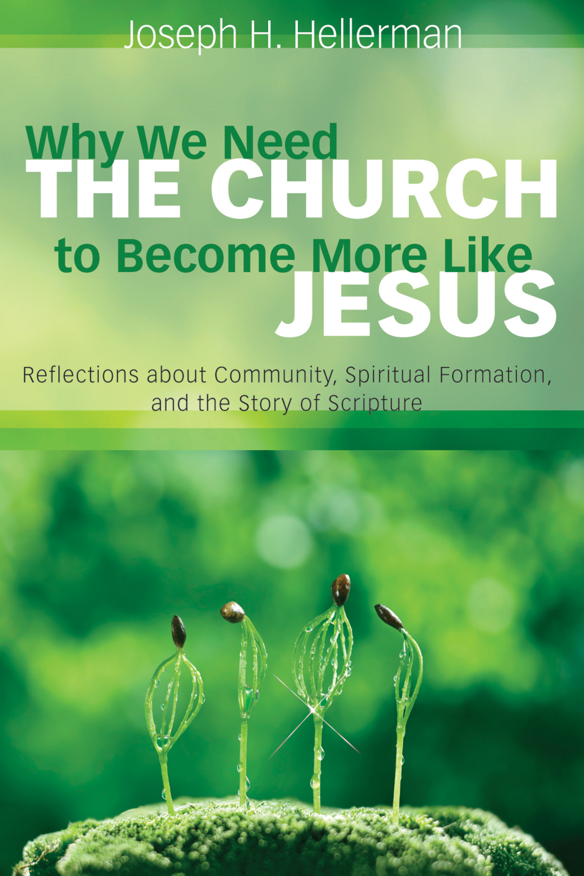 Why We Need The Church To Become More Like Jesus Joseph H Hellerman
