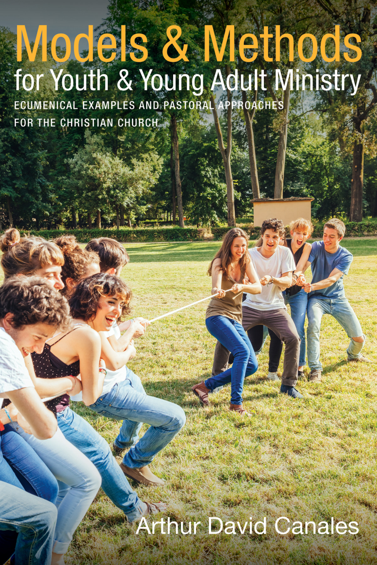 Models And Methods For Youth And Young Adult Ministry Arthur David Canales