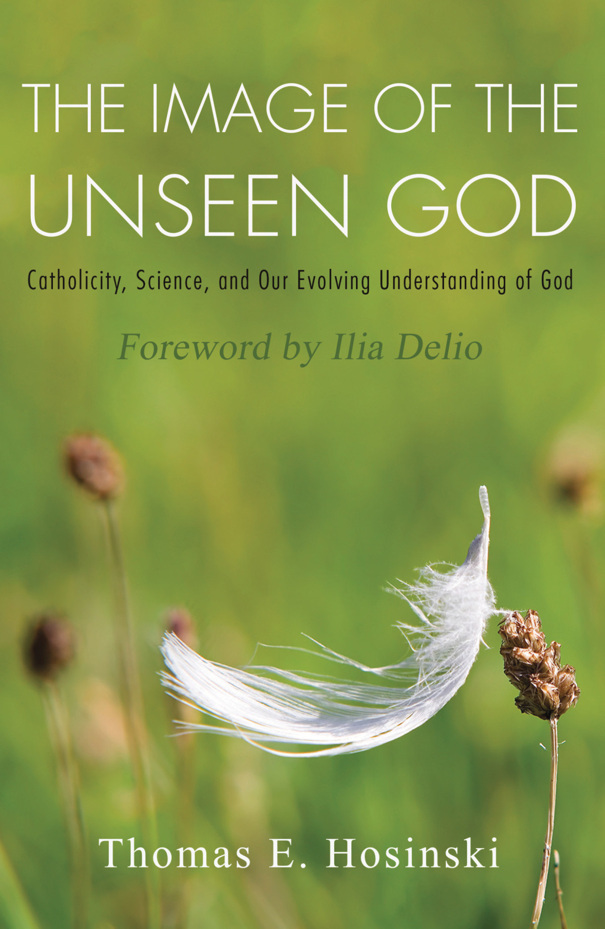 The Image Of The Unseen God Catholicity Science And Our Evolving Understanding Of God Hosinski