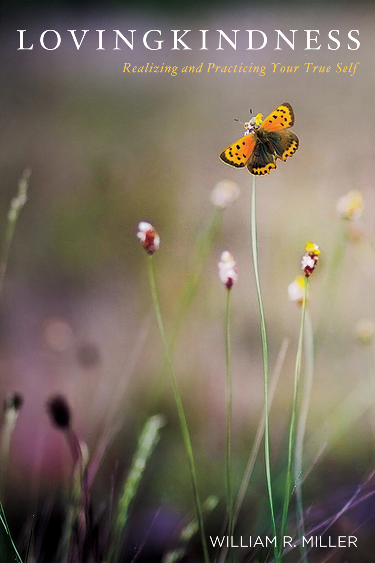 Lovingkindness William R Miller