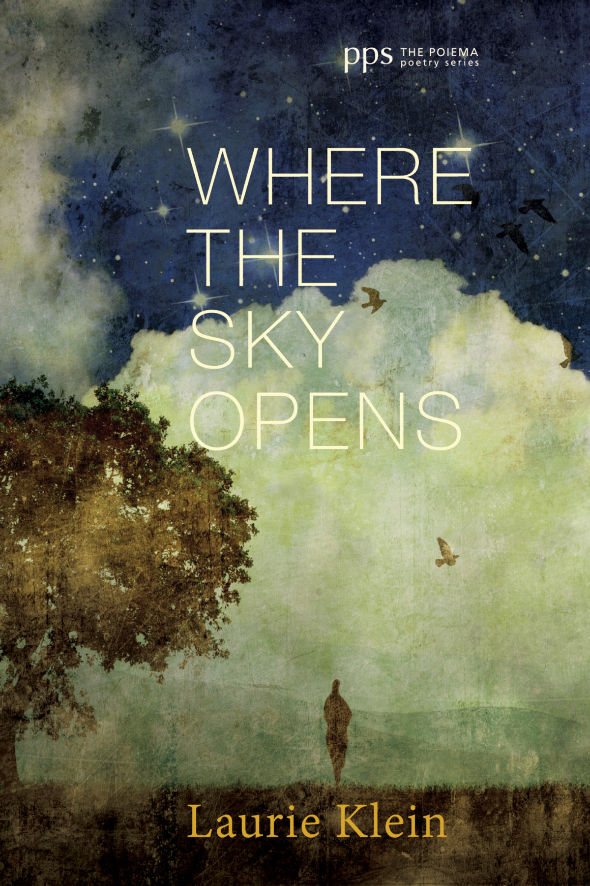 Where The Sky Opens Laurie Klein