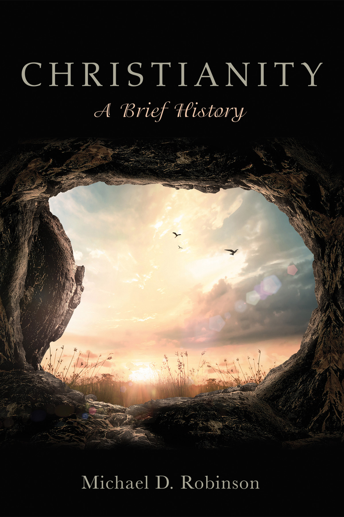 Christianity A Brief History Michael D Robinson