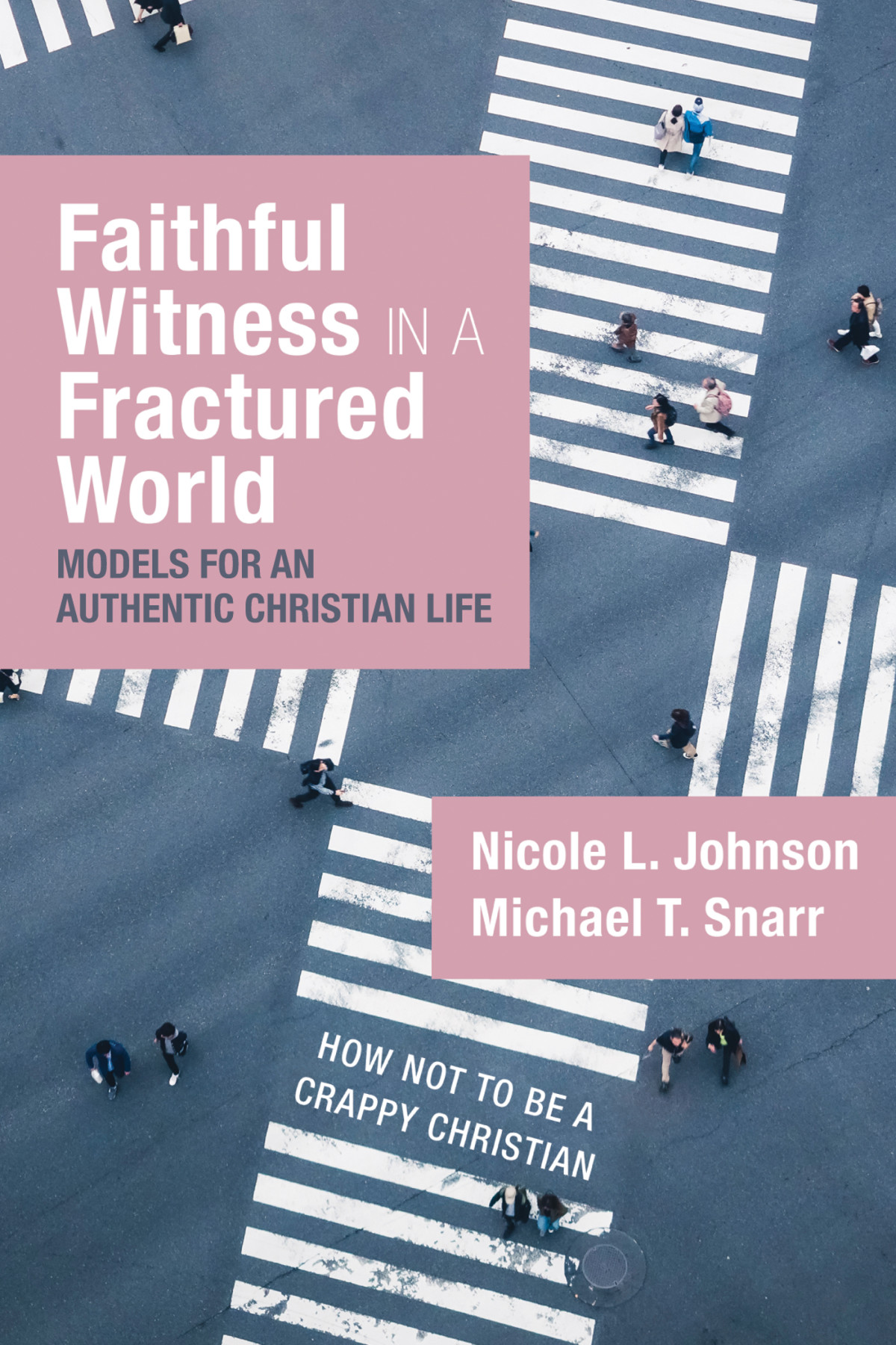 Faithful Witness In A Fractured World Dr Nicole L Johnsonmichael T Snarr