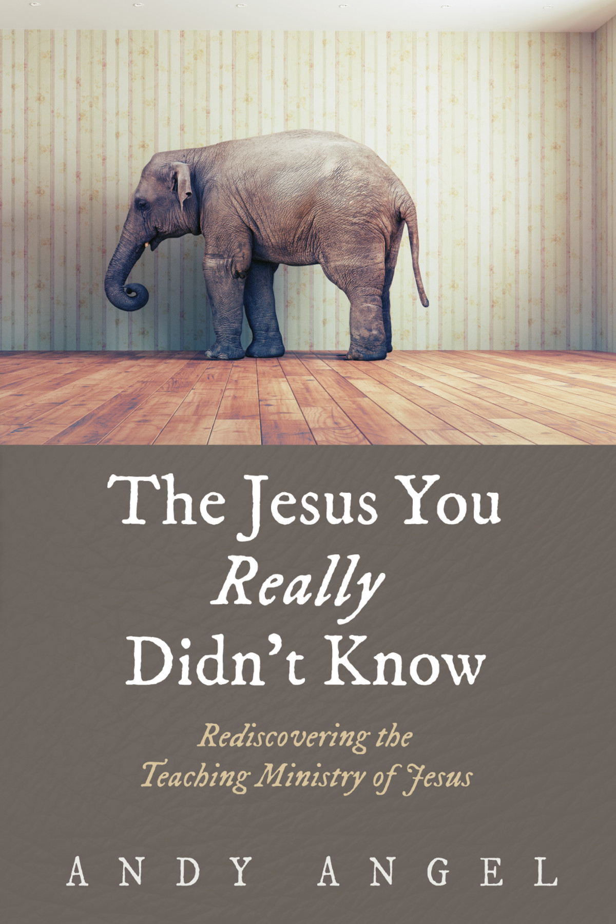 The Jesus You Really Didnt Know Andy Angel