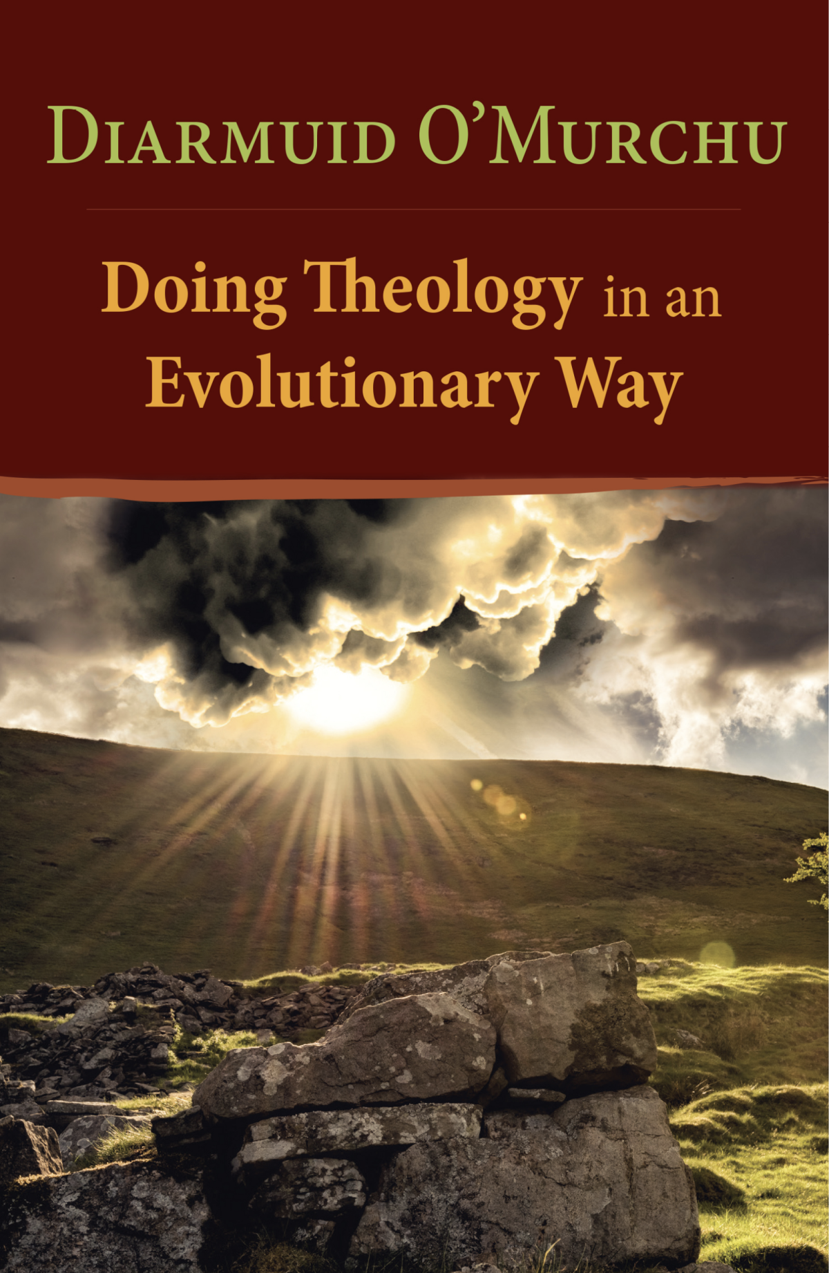 Doing Theology In An Evolutionary Way Author Omurchu Diarmuid
