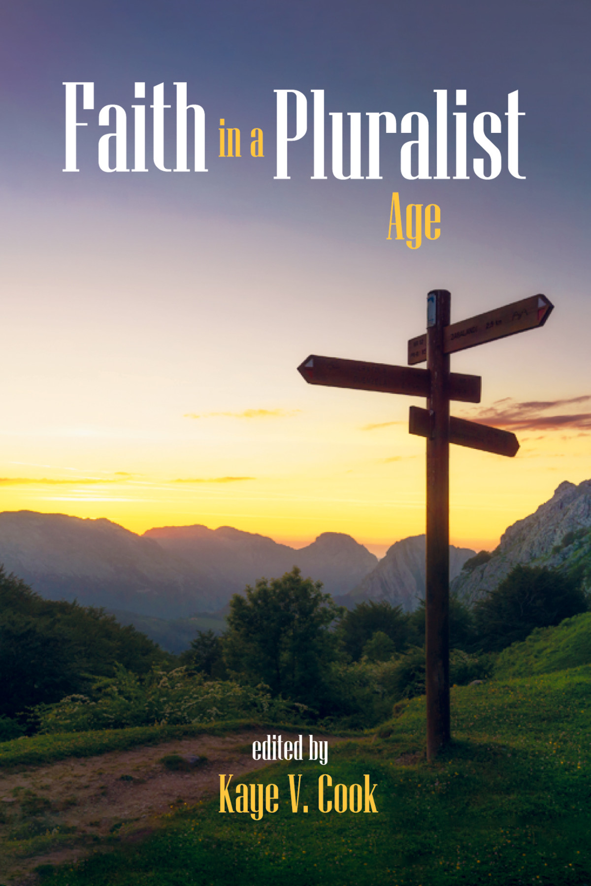 Faith In A Pluralist Age Kaye V Cook