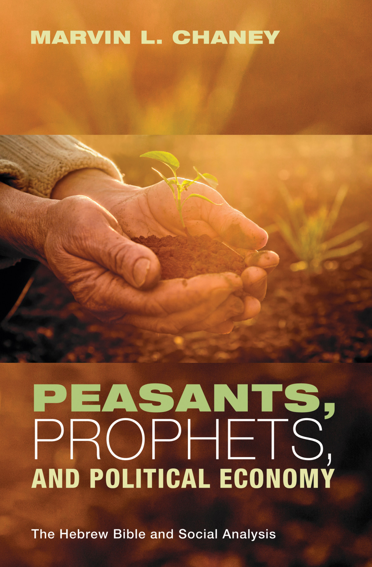 Peasants Prophets And Political Economy Marvin L Chaney