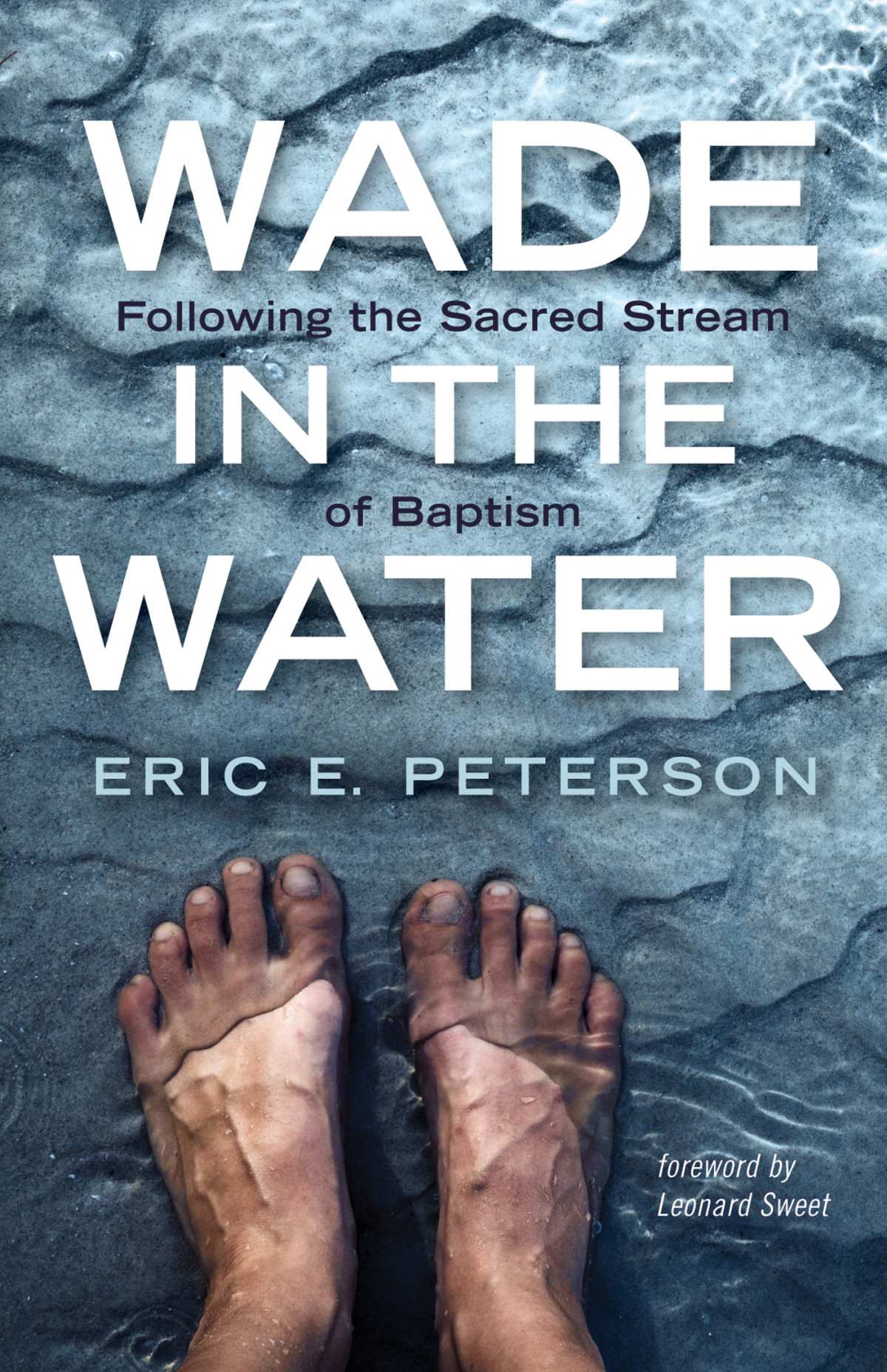 Wade In The Water Eric E Peterson