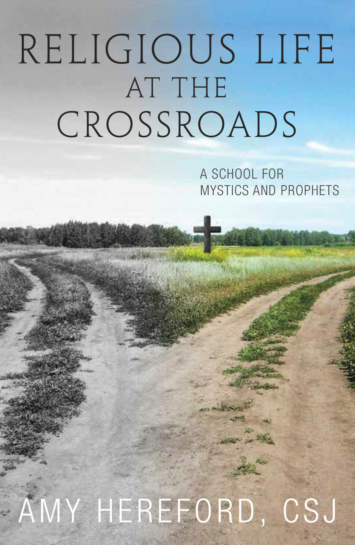 Religious Life At The Crossroads A School For Mystics And Prophets Hereford
