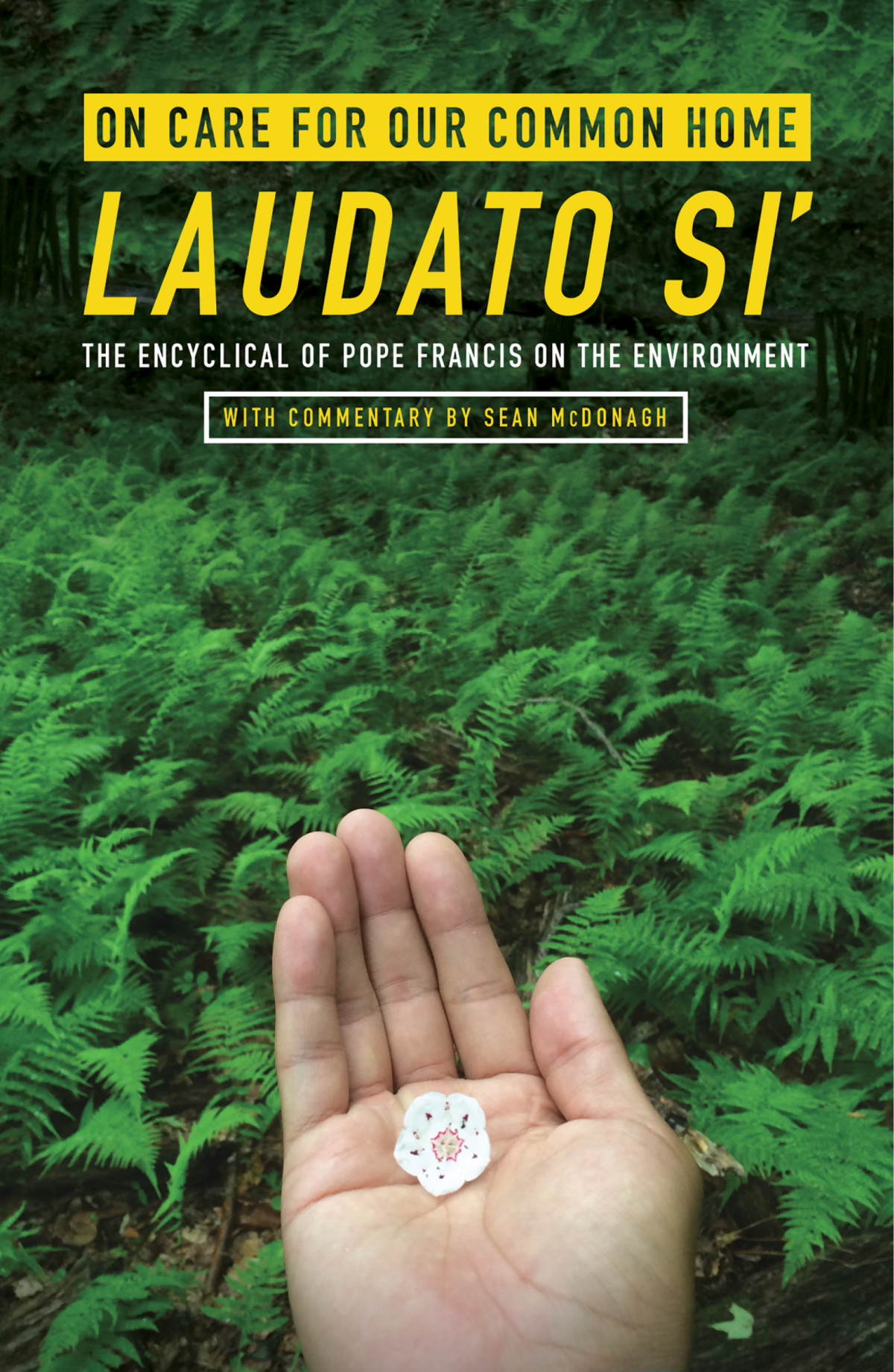 On Care For Our Common Home Laudato Si The Encyclical Of Pope Francis On The Environment Pope Francis