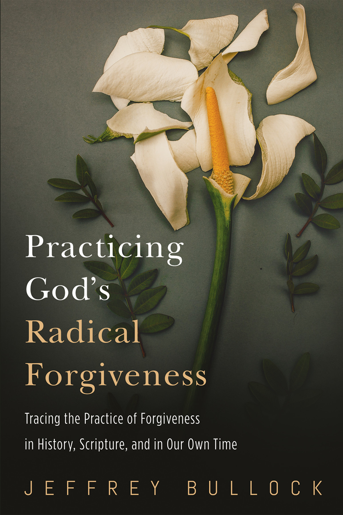 Practicing Gods Radical Forgiveness Jeffrey Bullock