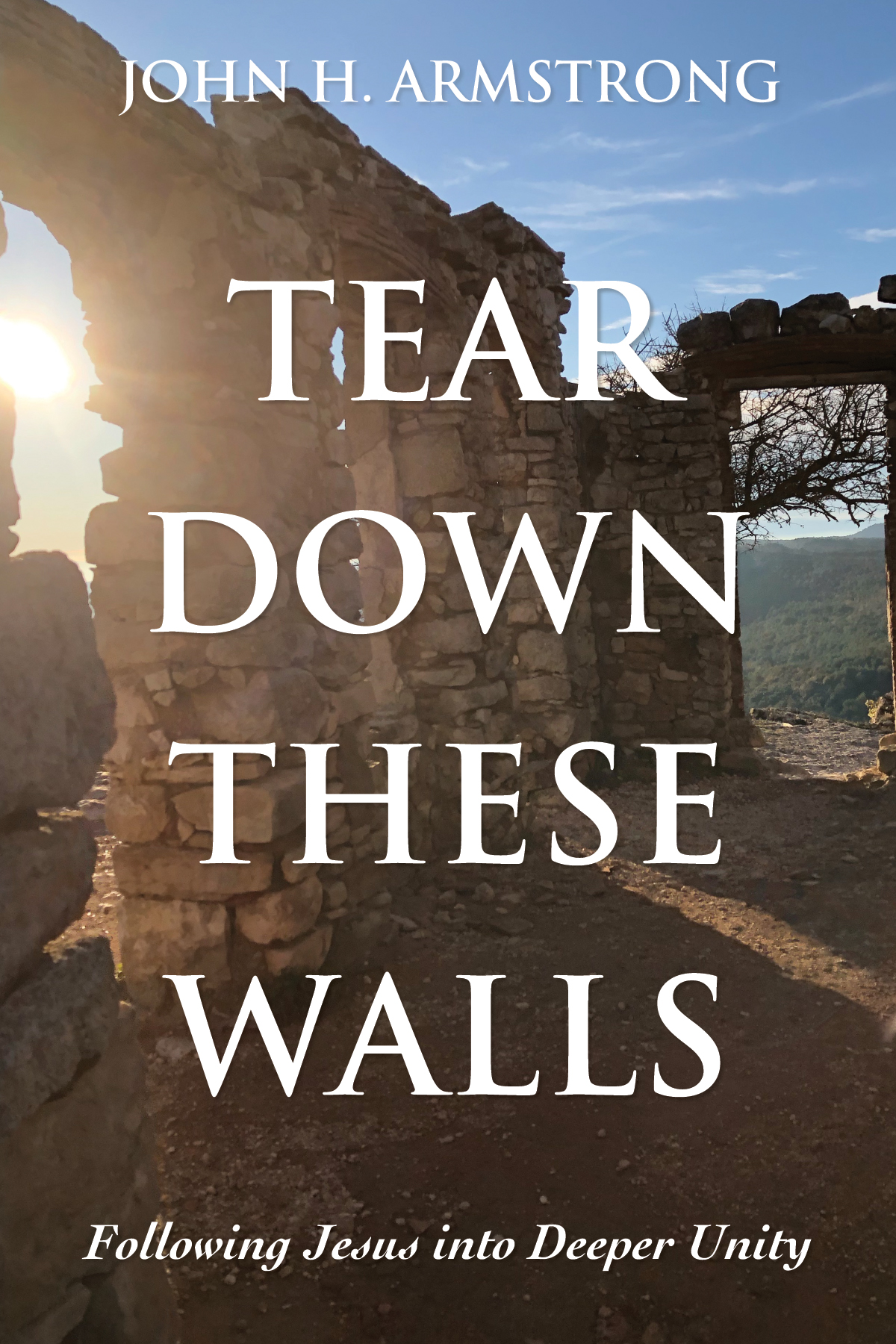 Tear Down These Walls John H Armstrong